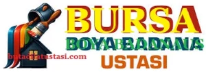 bursa dayire boyacısı