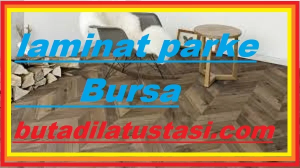 Bursa laminat parke ustası